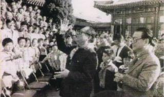 少先队员先进事迹